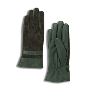 Brume Waterloo Gant Kaki