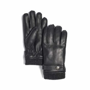 Brume Gant Nelson Large